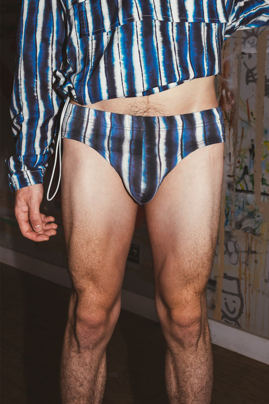 STRIPE SWIM BRIEFS